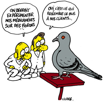 CH-Pigeon-by-Charb
